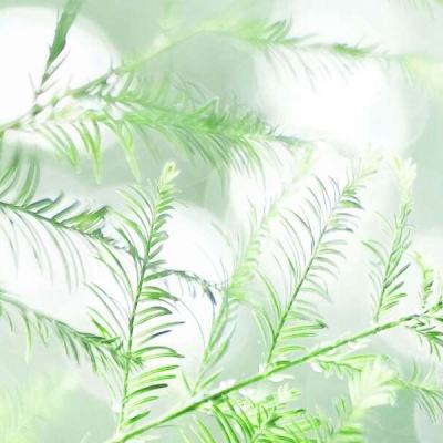 倒计时3天 | 和利时邀您共聚CIHC...
